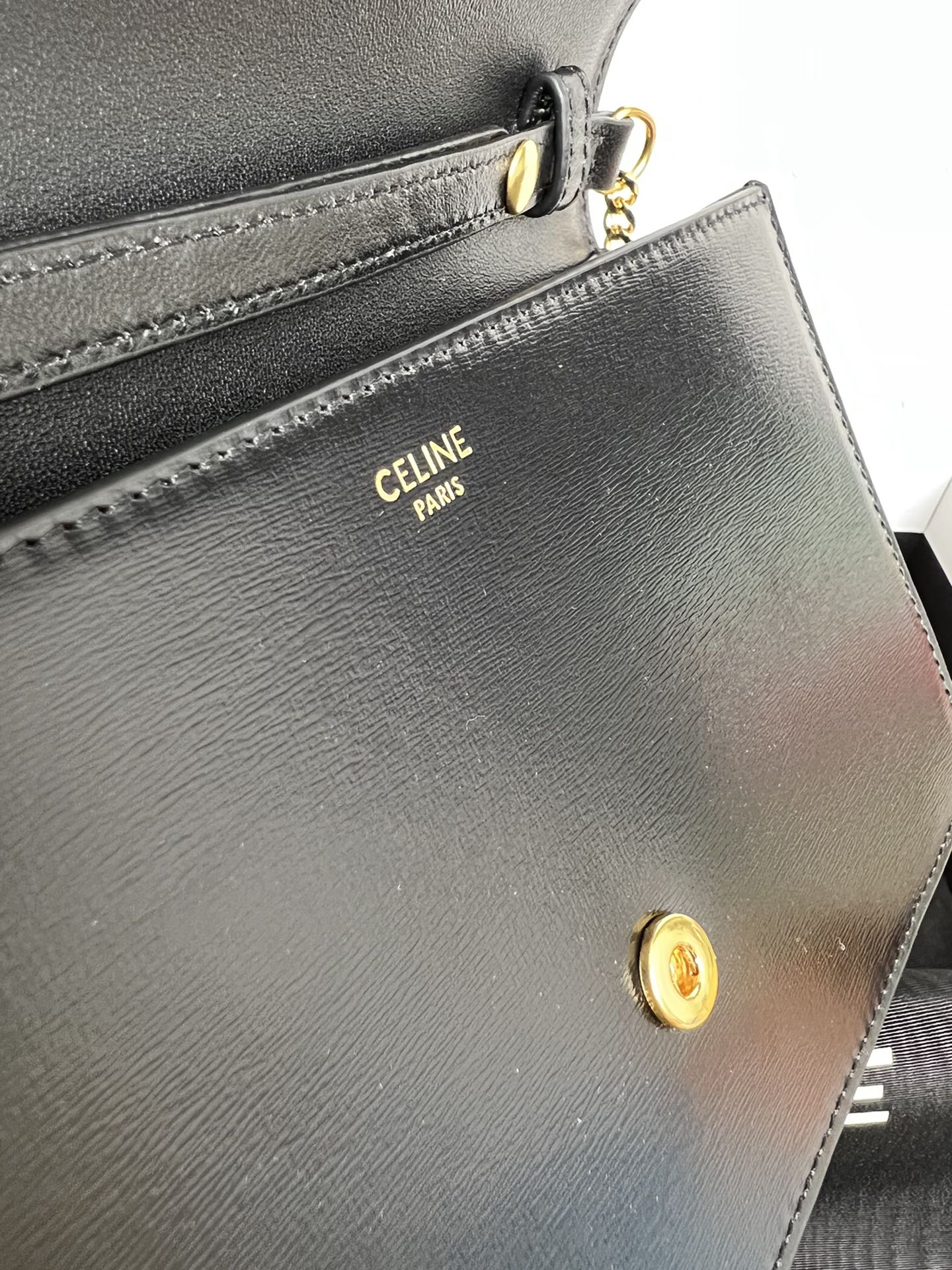 Celine Triomphe Bags